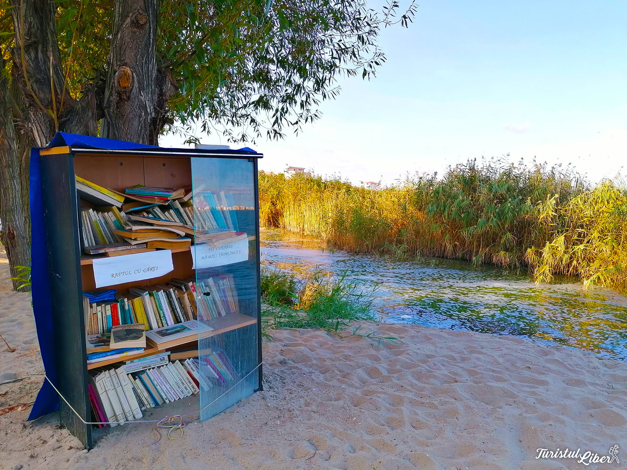 stand carti plaja ovidiu
