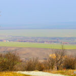 vedere dobrogea
