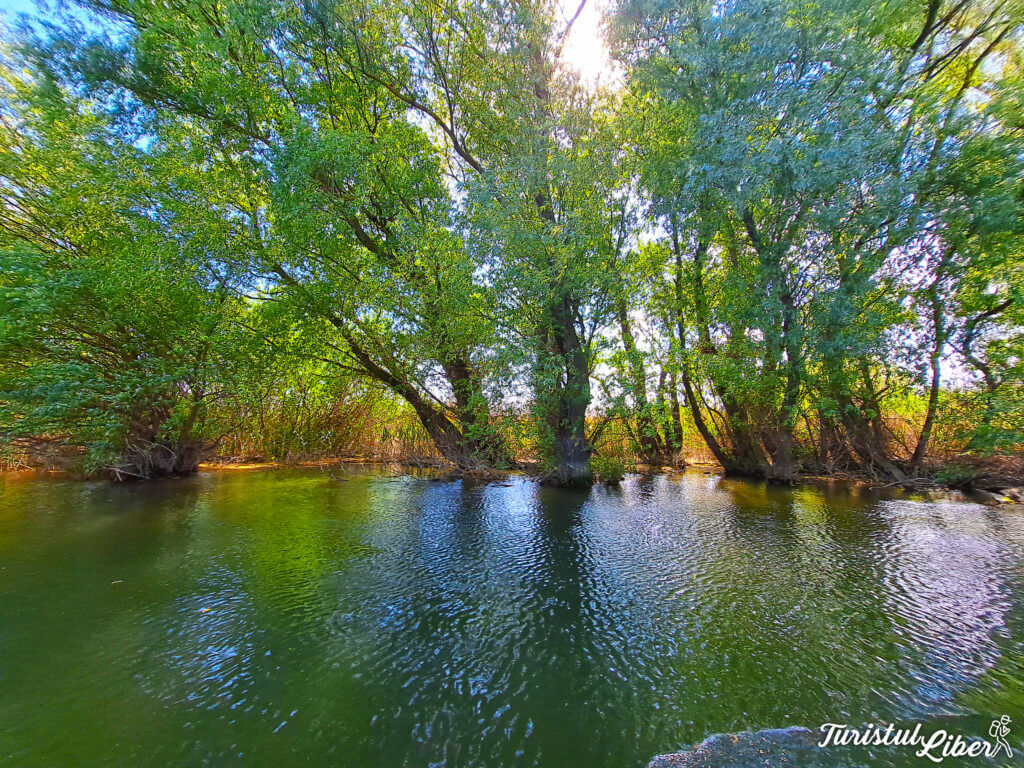 canale delta dunarii