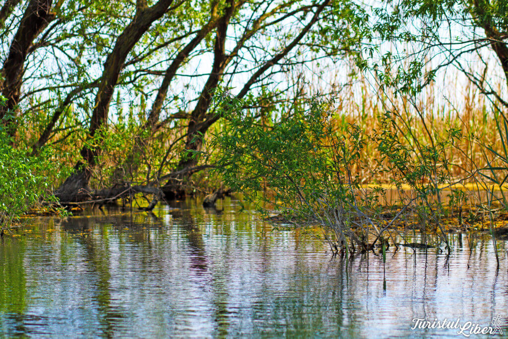 grinduri delta