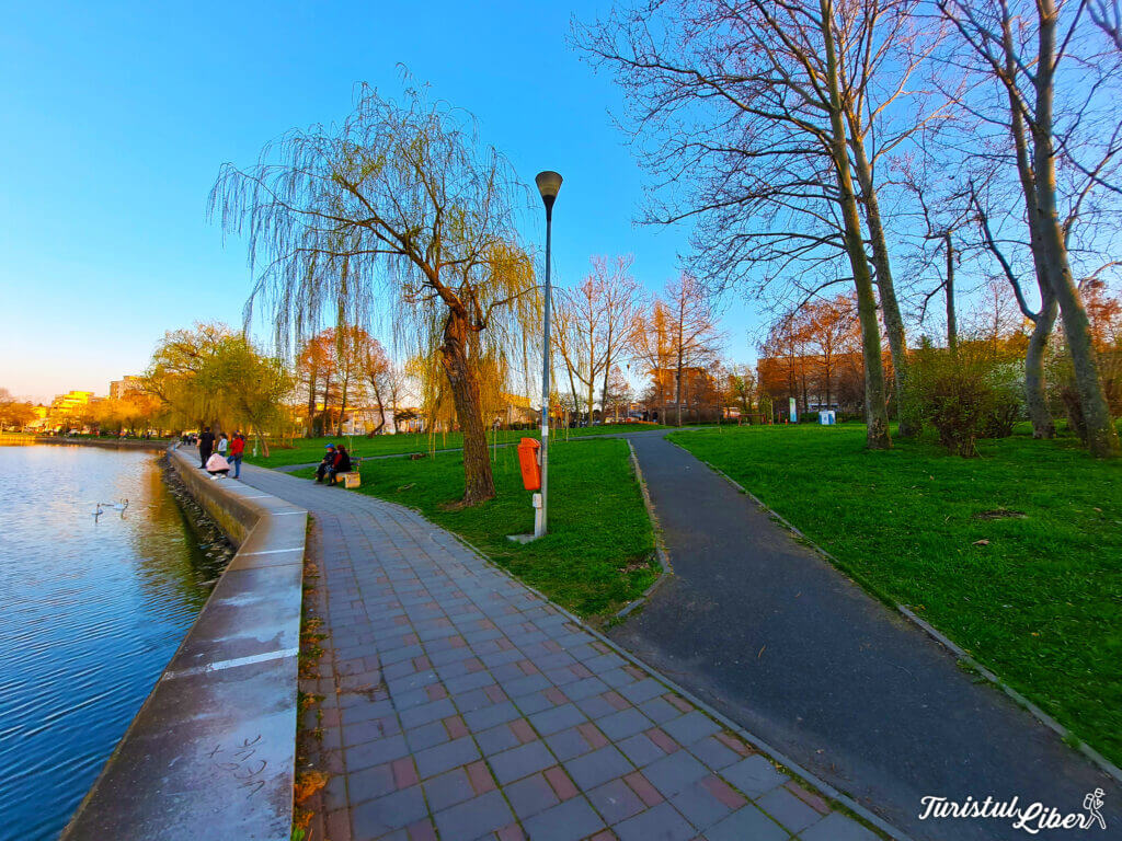 alei parcul ciuperca