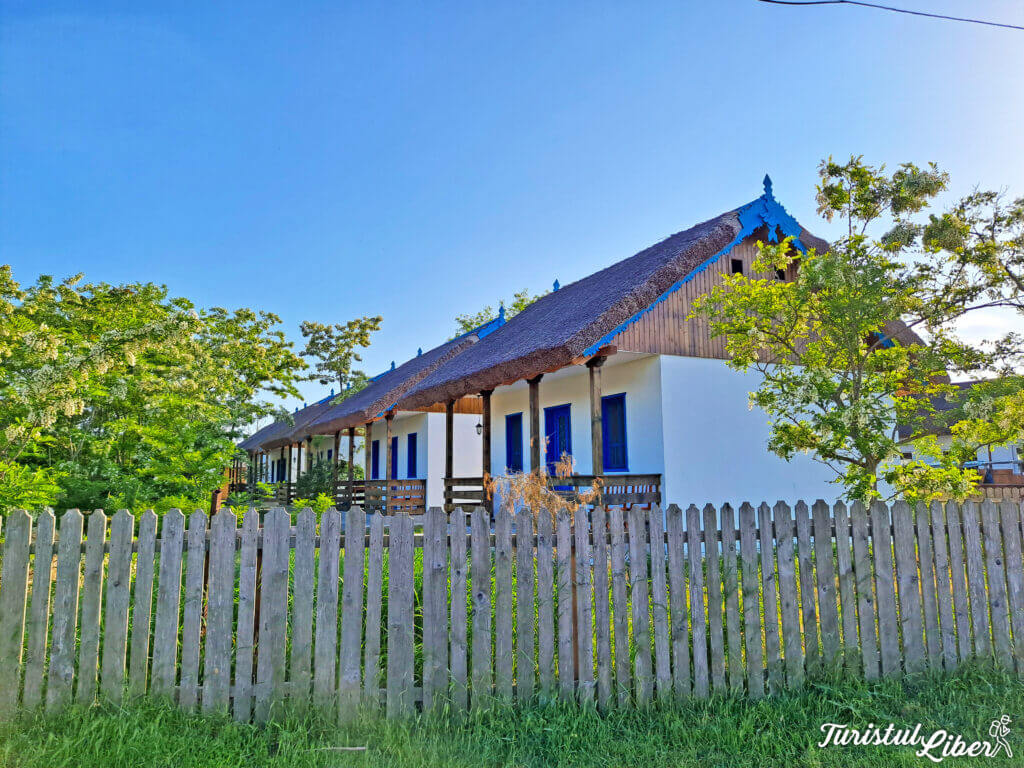 casa traditionala delta