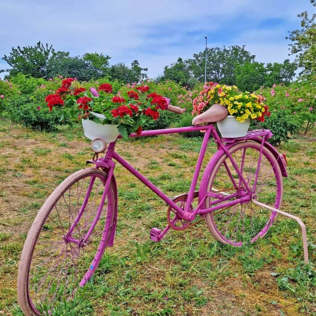 gradina zanelor din jurilovca