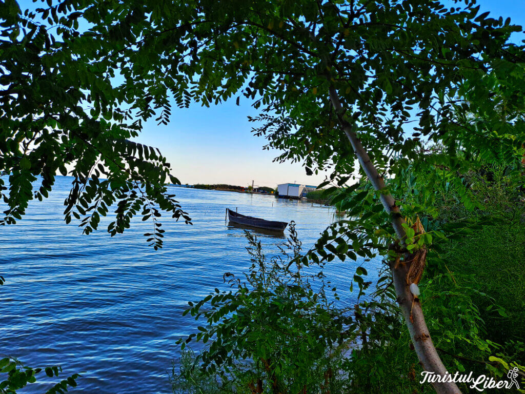 barcute lac razim