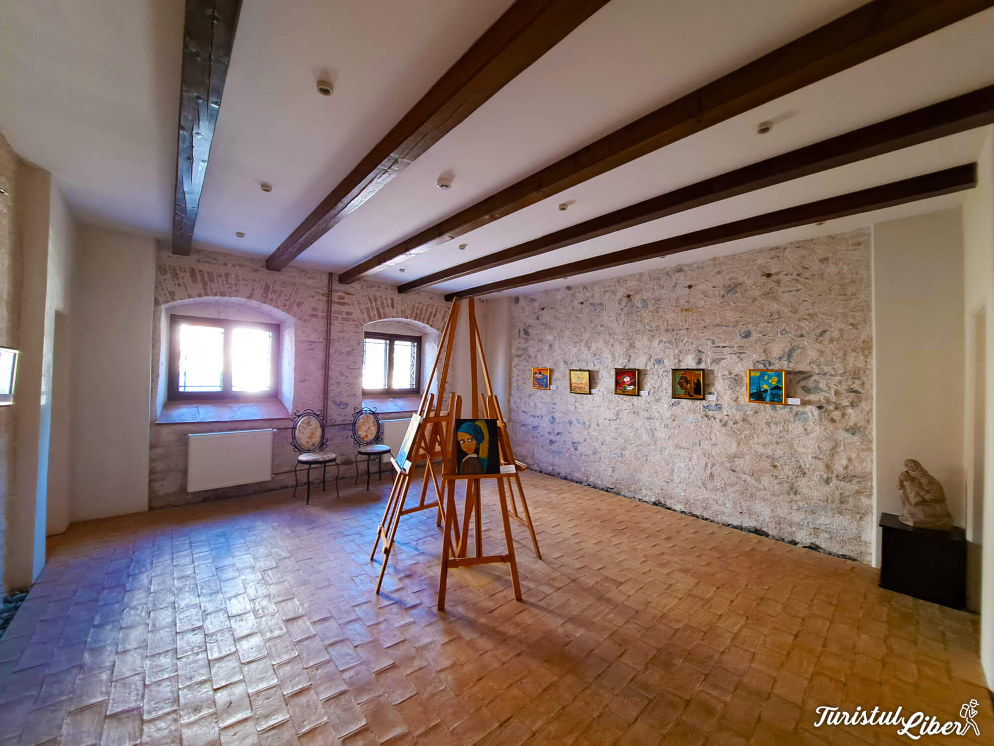 expozitie casa avramide