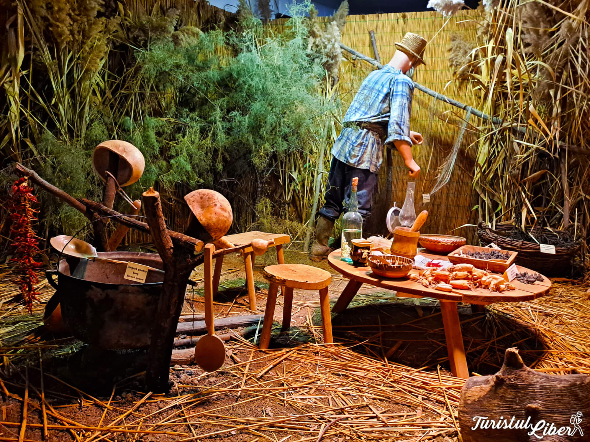 gospodarie traditionala delta