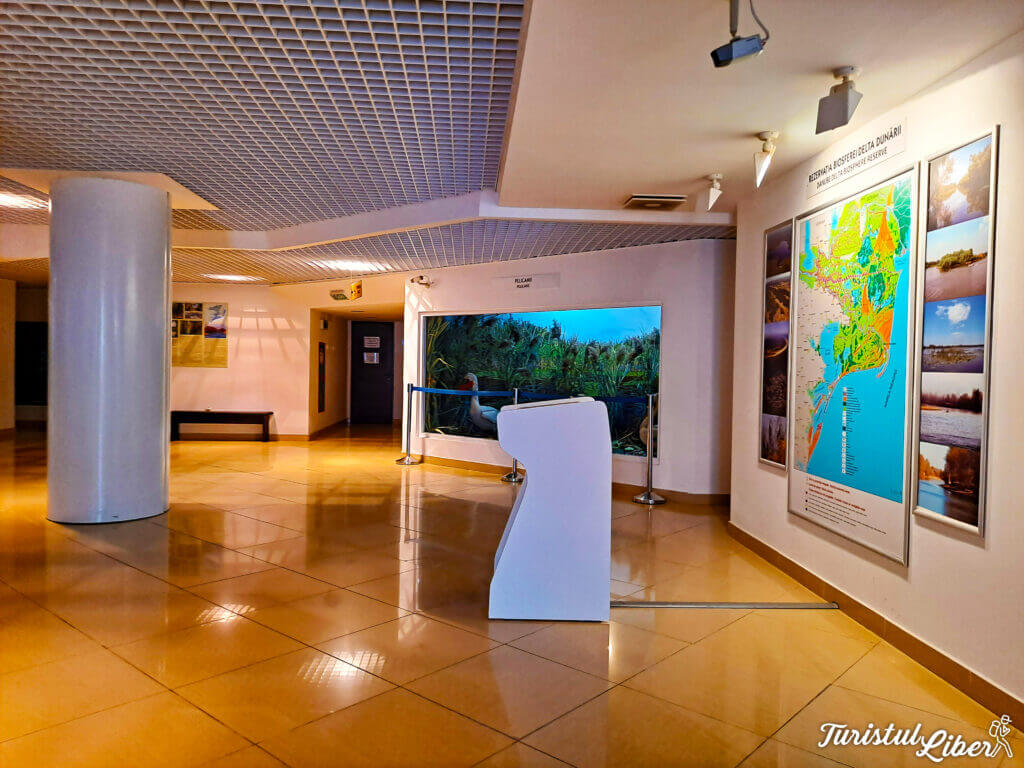 interior centru muzeal tulcea