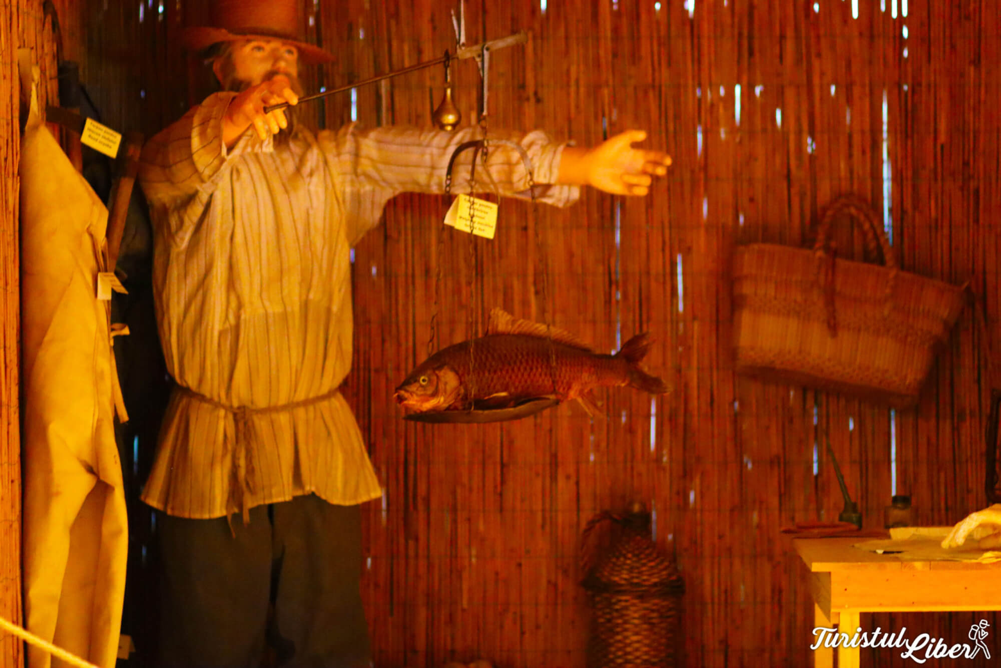 ocupatii traditionale dobrogea