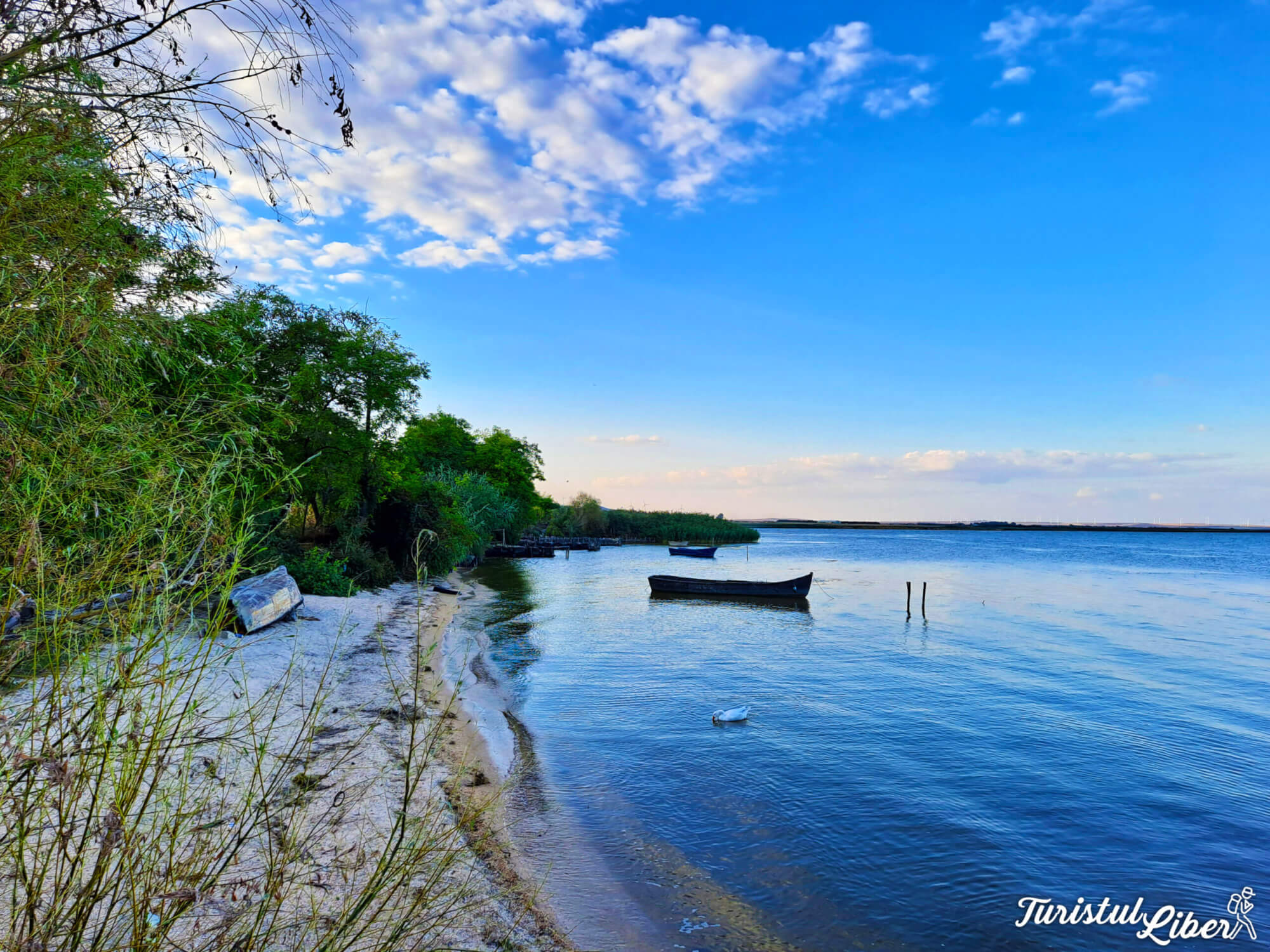 plaja lac razim sarichioi