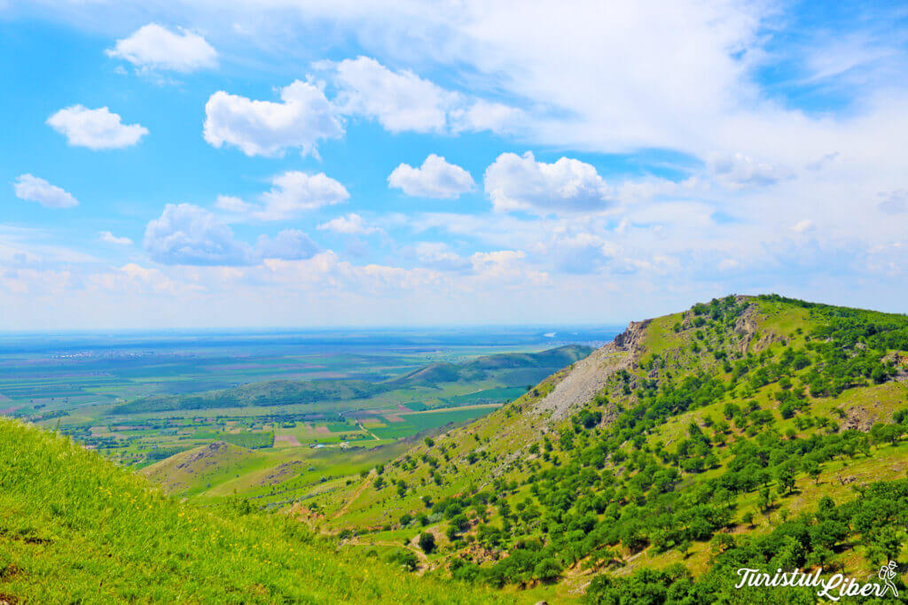 panorama padure muntii macin