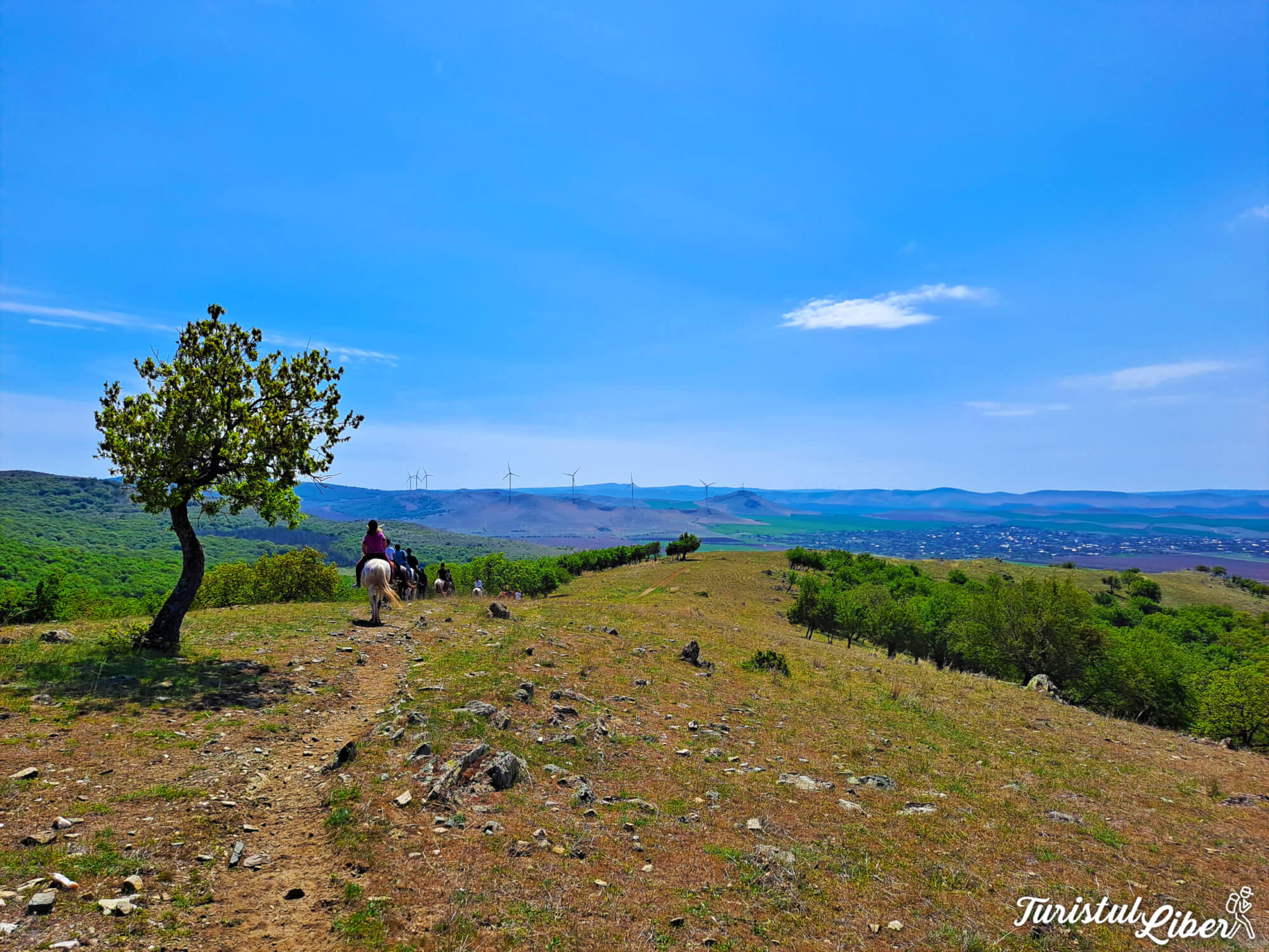 panorama traseu calare muntii macin