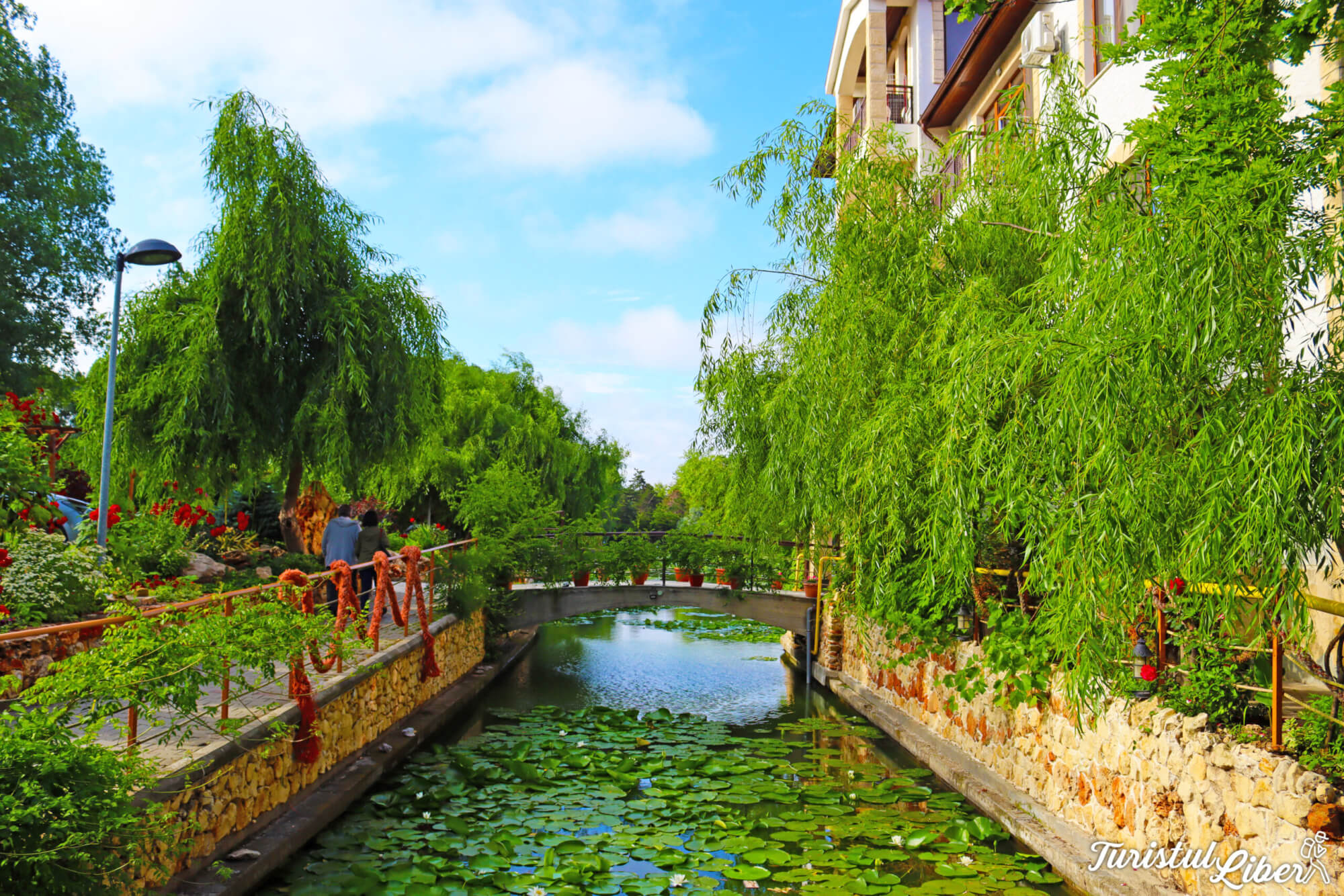 canal cu nuferi statiunea neptun