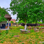 gradina casa traditionala jurilovca