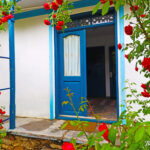 trandafiri cazare jurilovca