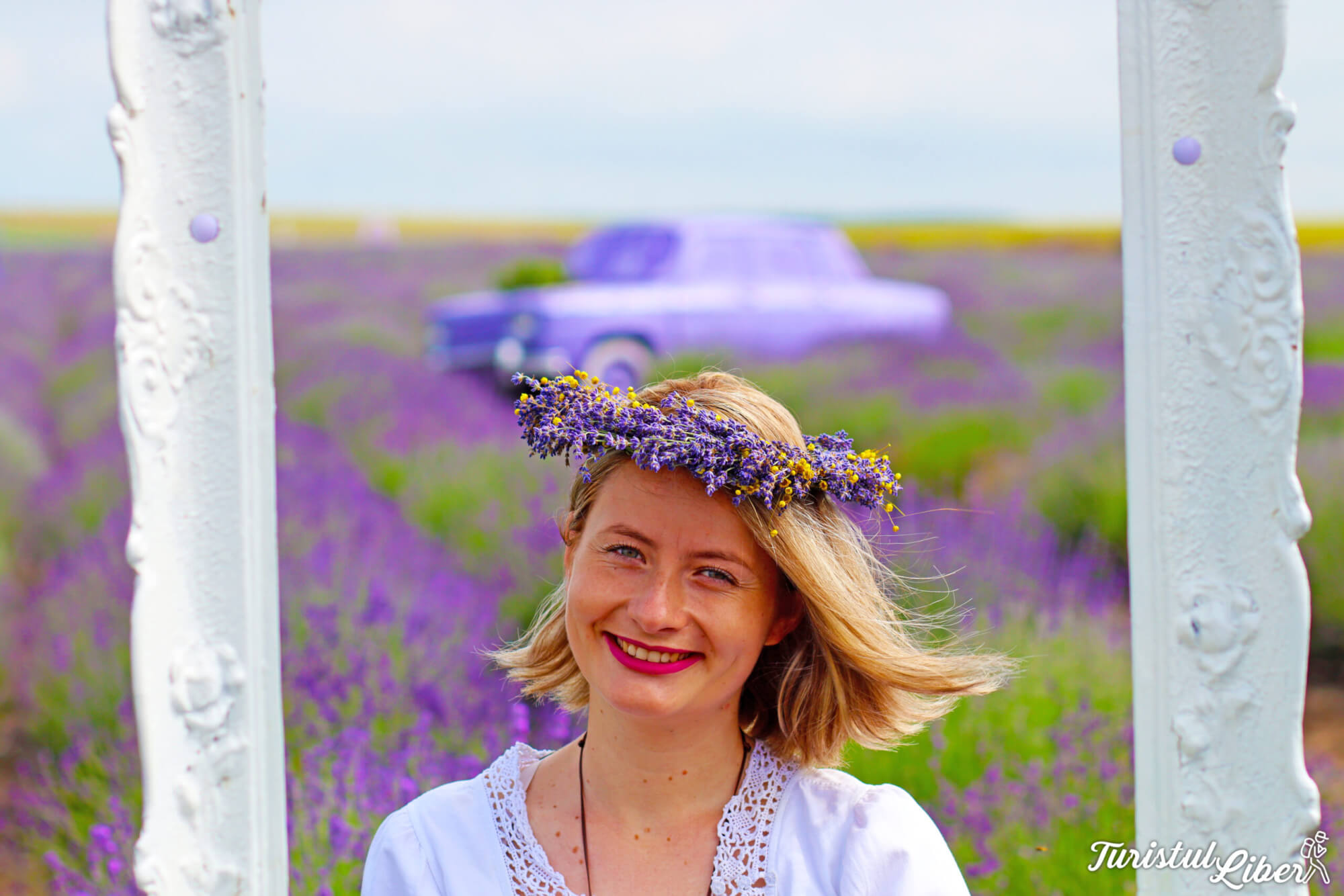turistullliber in lanul de lavanda