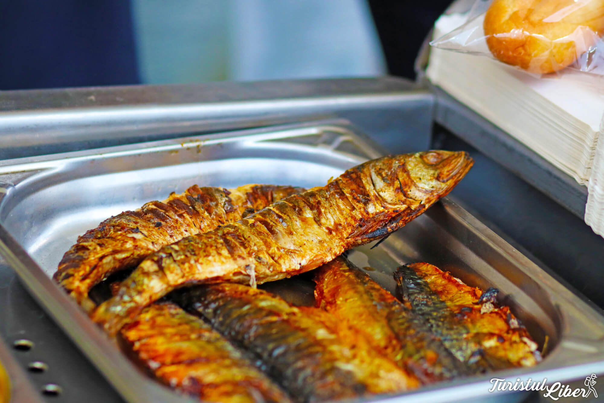 scrumbie pe gratar festival jurilovca