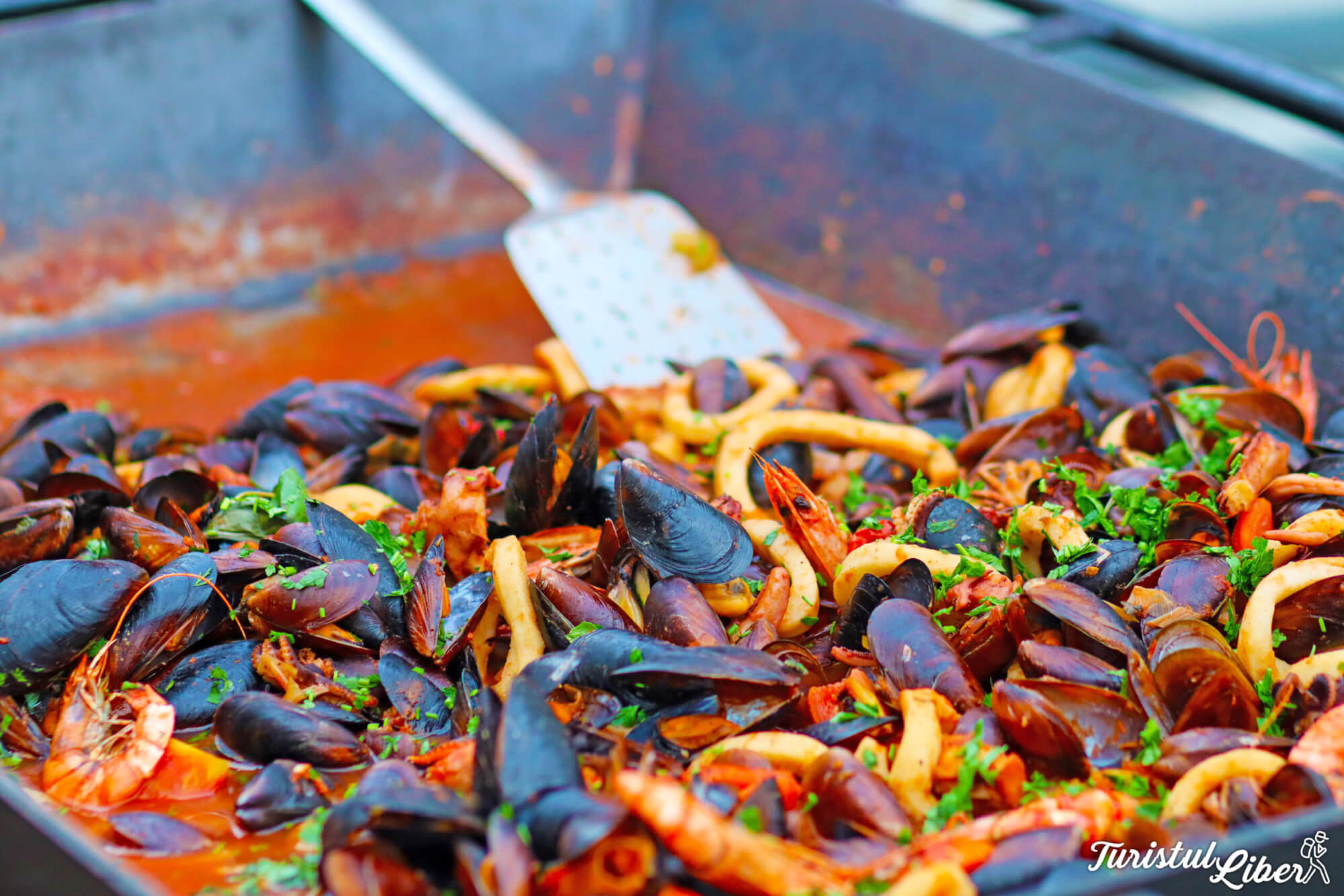 sos de midii festival jurilovca