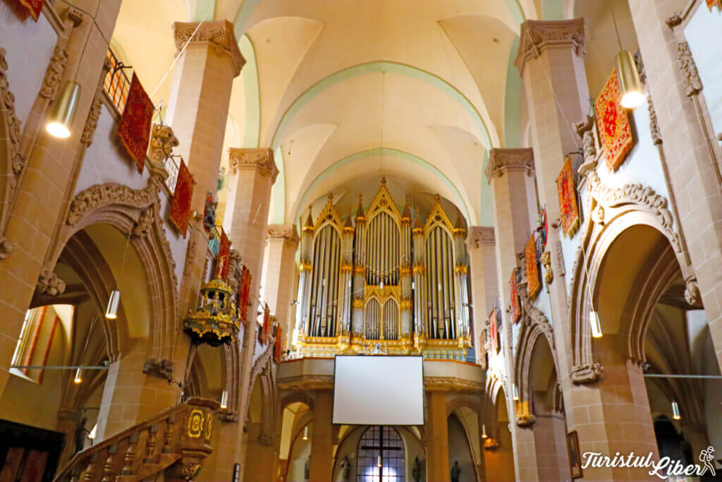 orga buchholz brasov