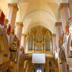 orga buchholz brasov