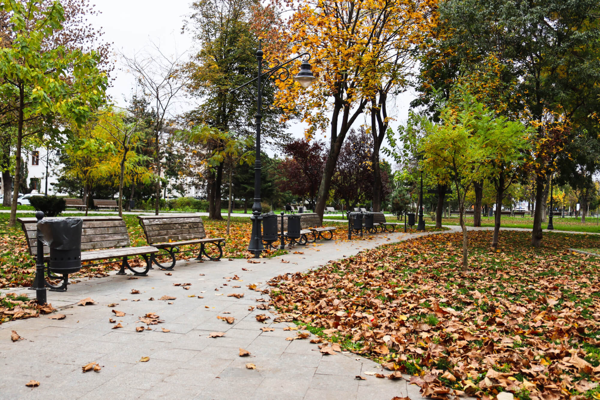 parcul arheologic constanta toamna