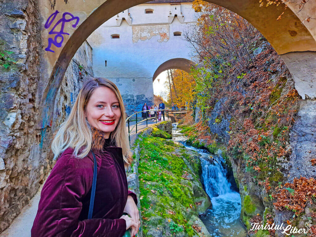 bastionul graft brasov