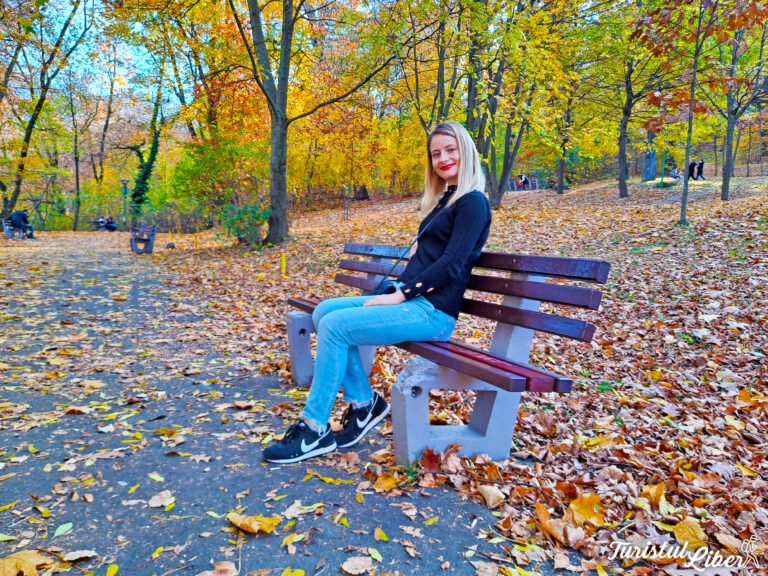 promenada warthe tur brasov