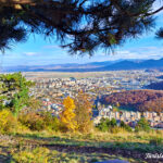 panorama brsov tampa