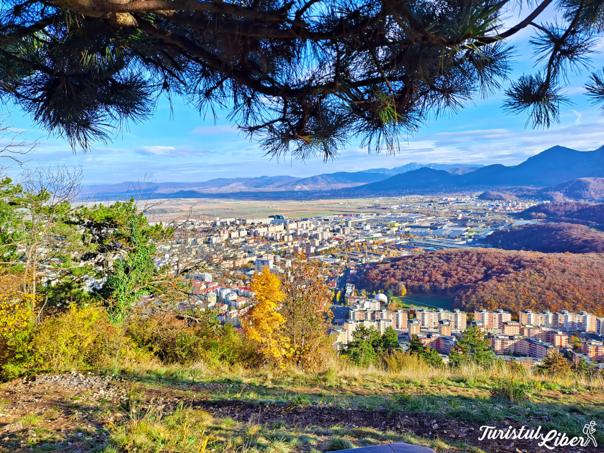 Te bucuri de natură