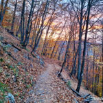 traseu tampa coborare