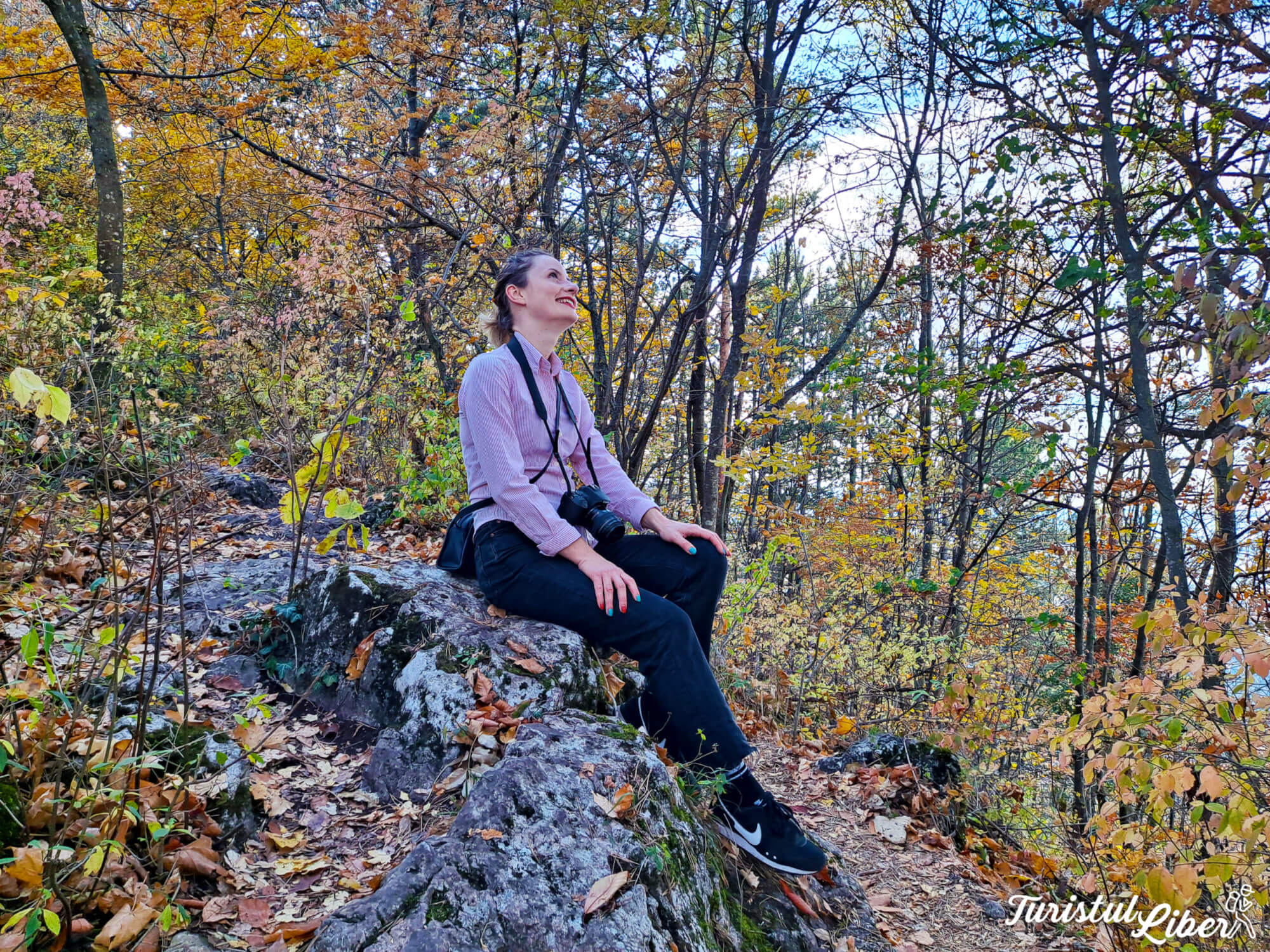 Treptele lui Gabony - Traseul scărilor pe Tâmpa