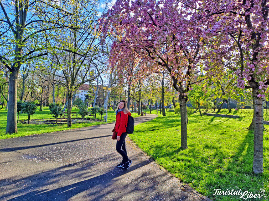 parcul central timisoara
