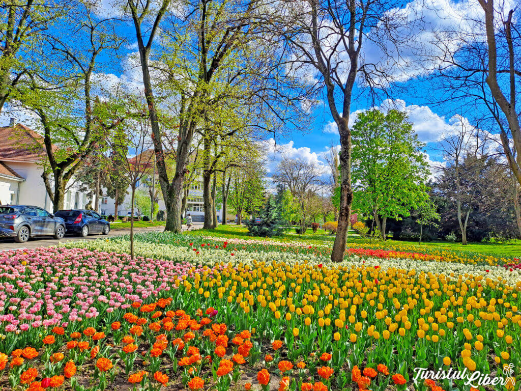 parcul justitiei timisoara