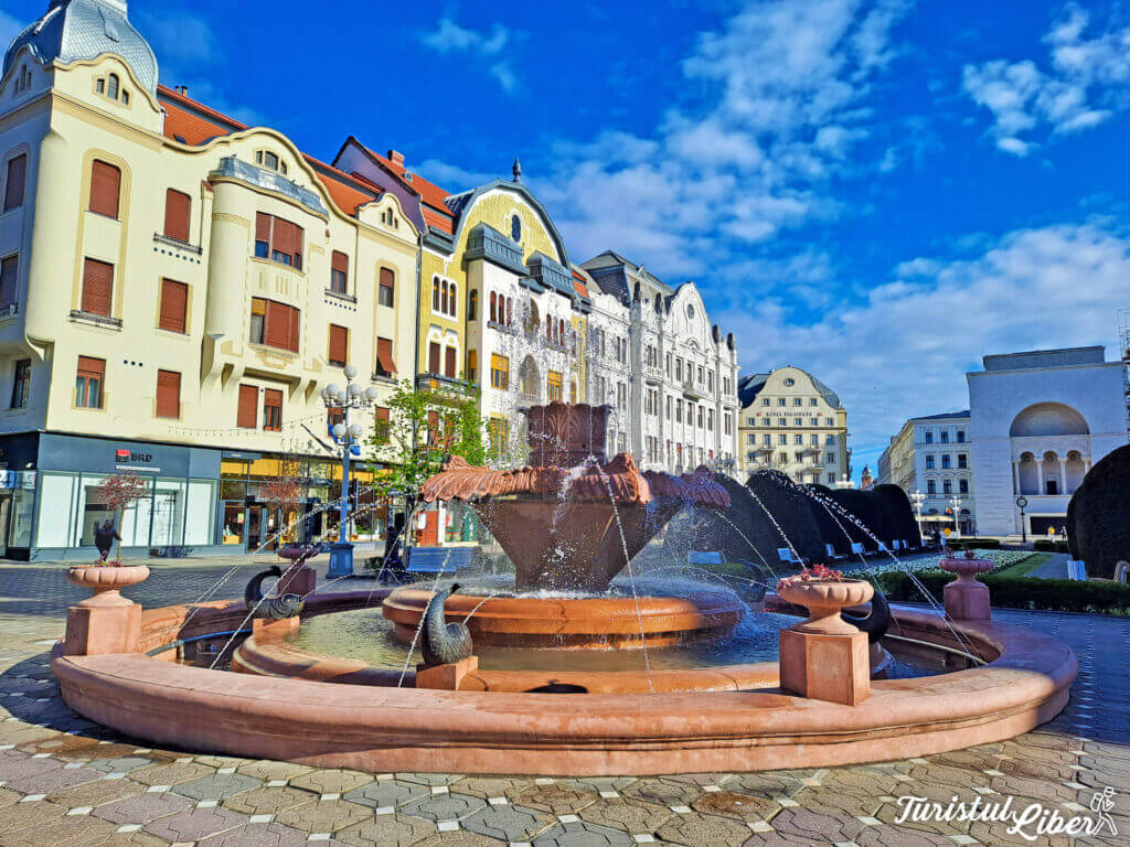 piata victoriei timisoara