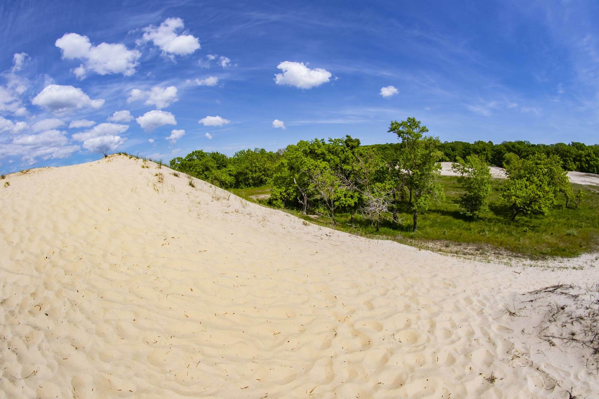 Excursie Tulcea - Letea - Sulina