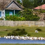 excursie tulcea - letea