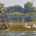 pescari delta dunarii