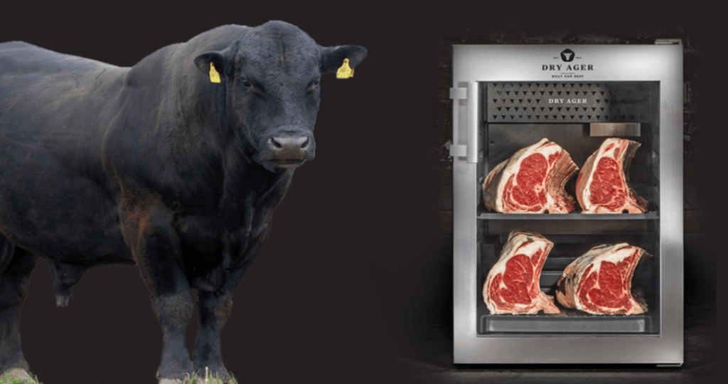 premii concurs black angus