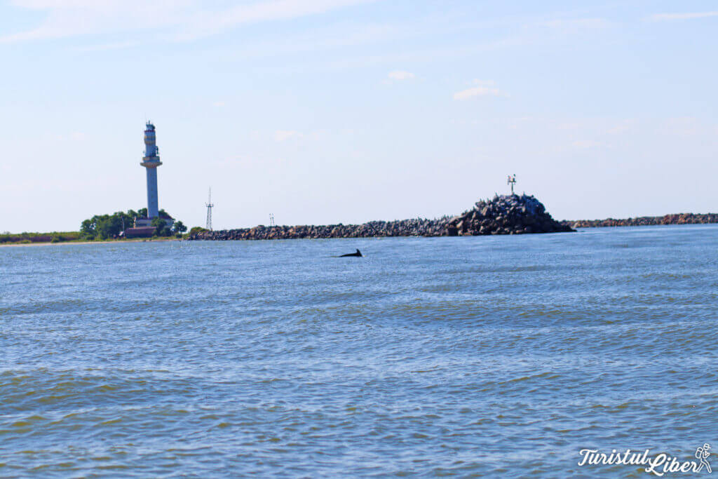 delfini Sulina