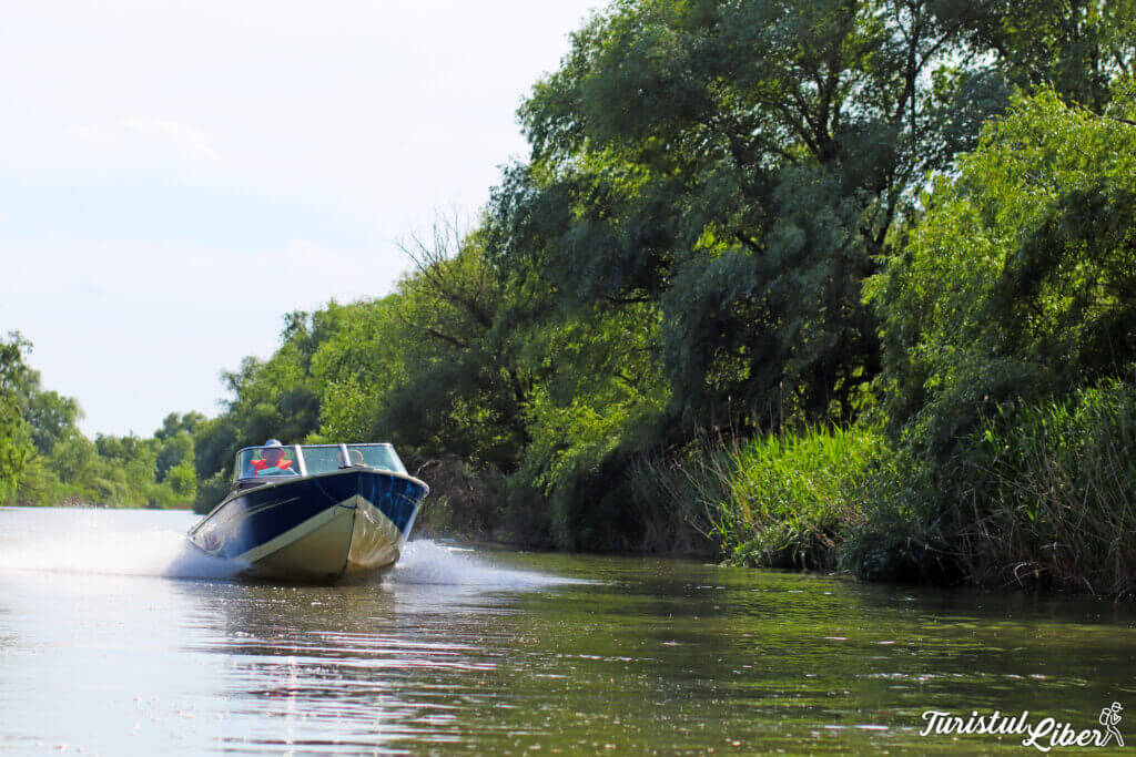 excursie delta