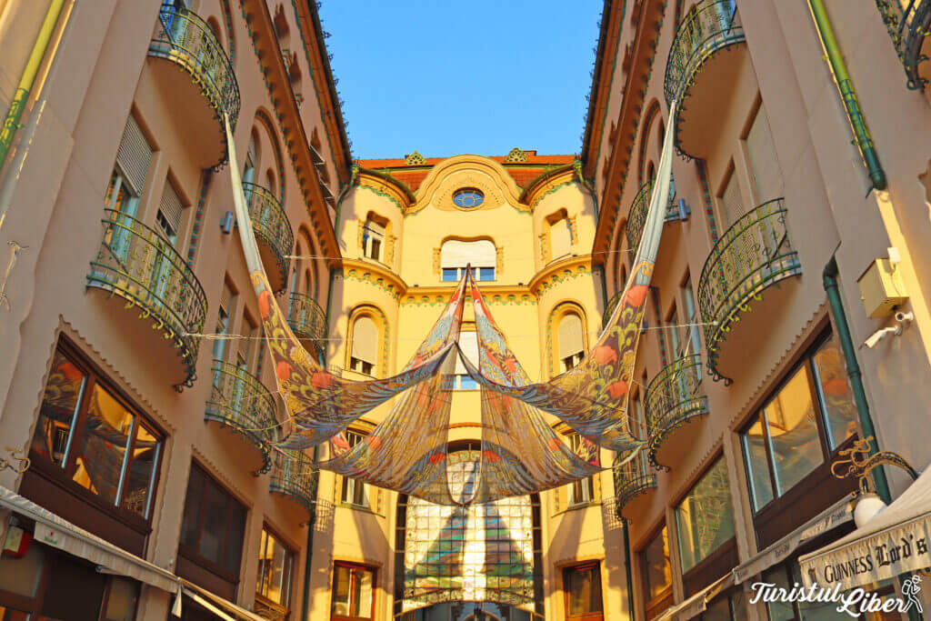 pasajul vulturul negru oradea