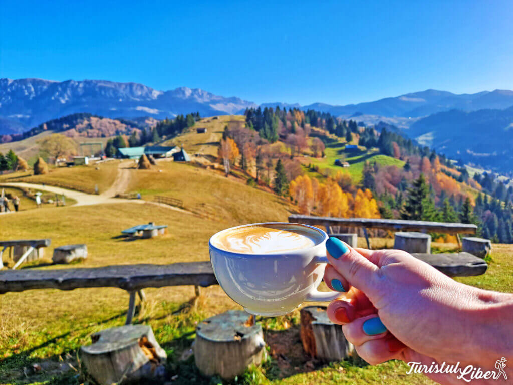 amfiteatrul transilvania