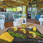 palamida pe tabla rasarit corbu