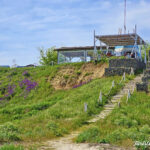 restaurant corbu rasarit