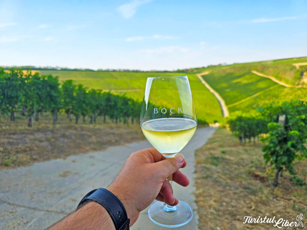 bock winery villany