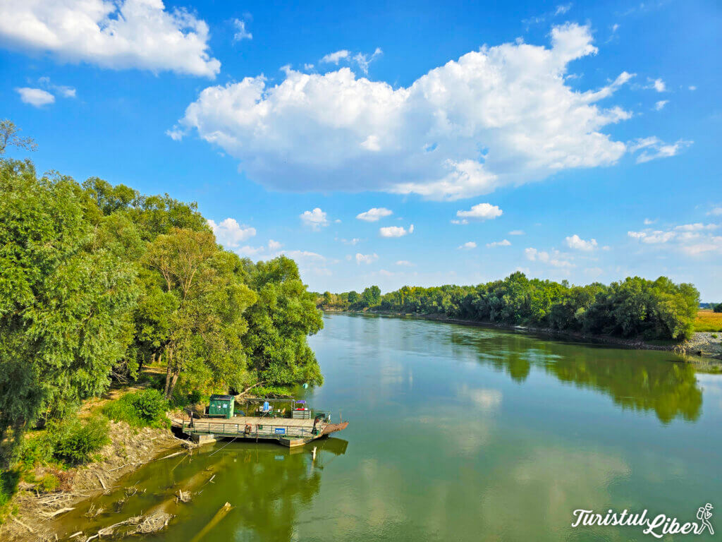 drava river boat trip