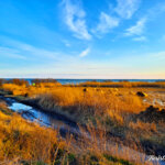 drum cetatea argamum