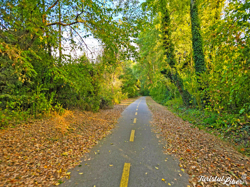 the iron curtain trail