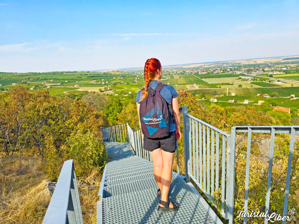 villany panoramic