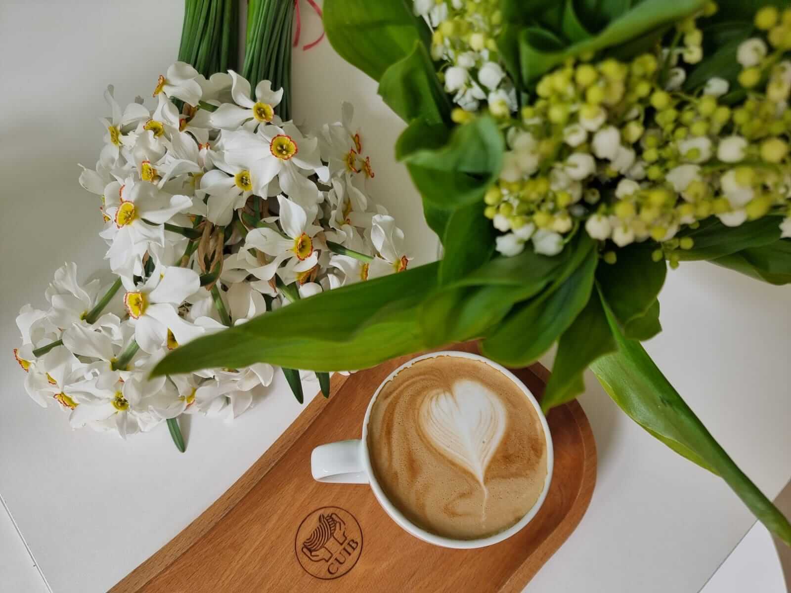 Cuib Cafe – Cafeneaua din Constanța pentru părinți și pitici