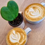 latte cuib cafe